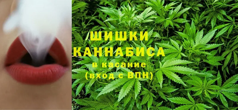 Каннабис SATIVA & INDICA  Ленинск-Кузнецкий 